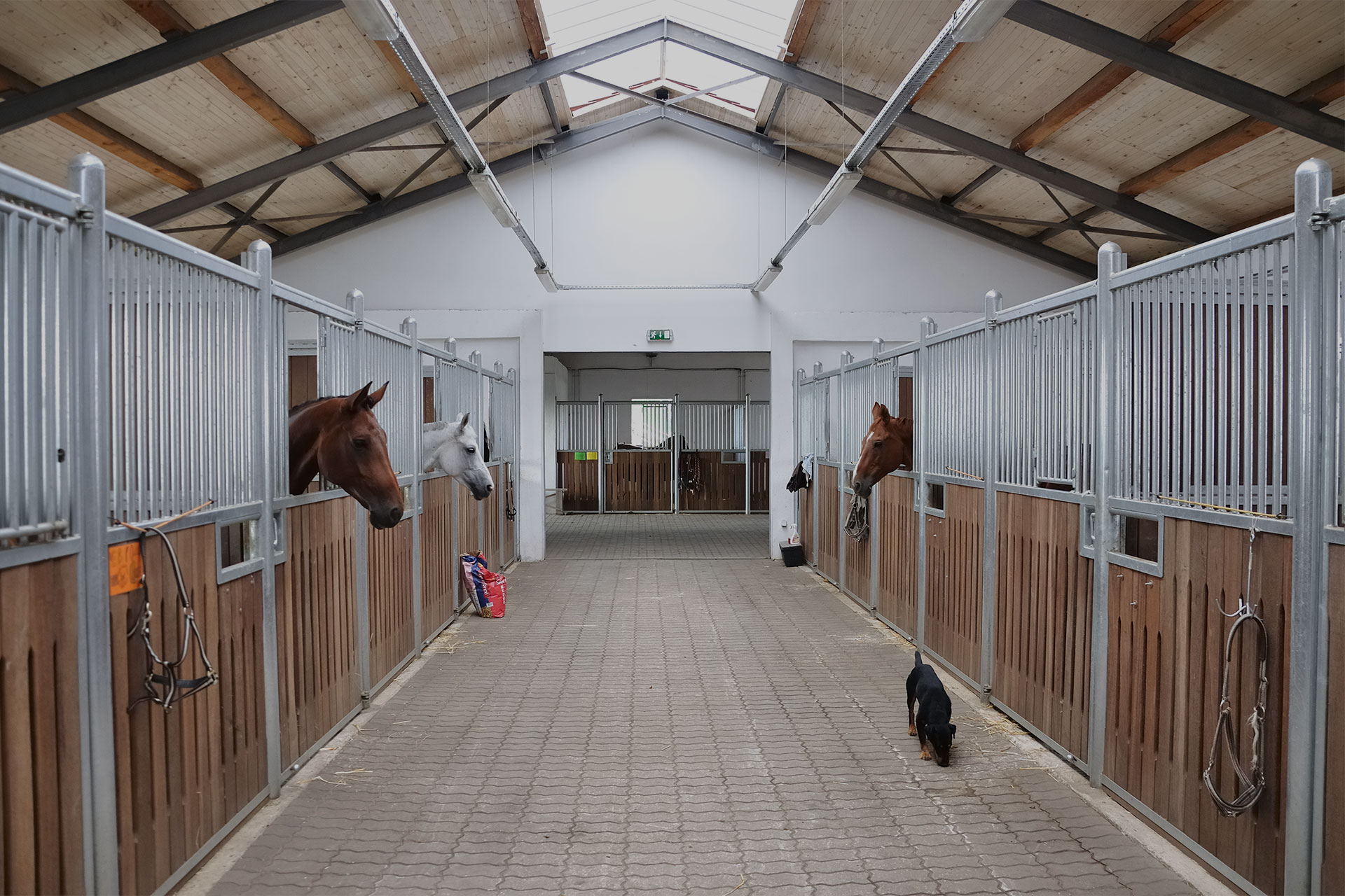 タイガーホールディングス