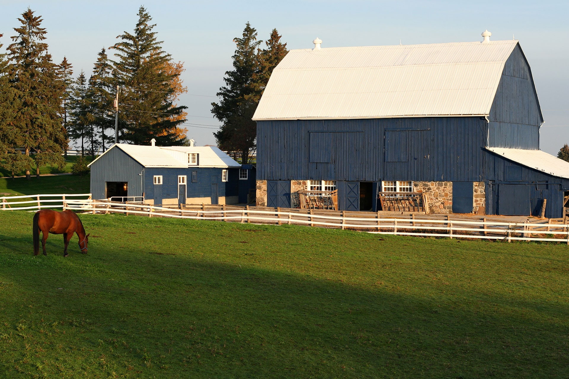 タイガーホールディングス