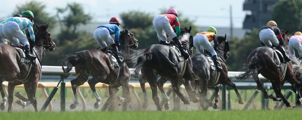 情報提供・アプローチ事業