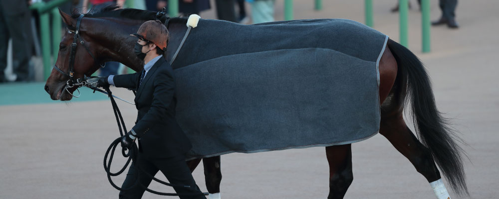 IT・メディア・マーケティング事業