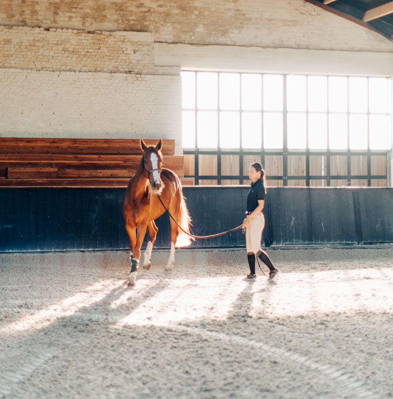 牧場運営・生産育成事業