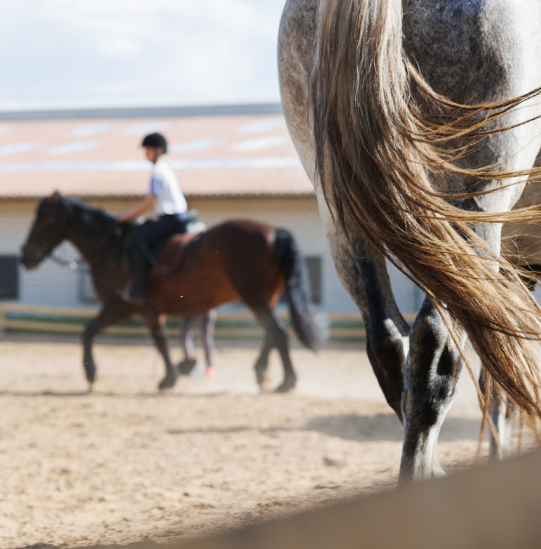 情報提供・アプローチ事業