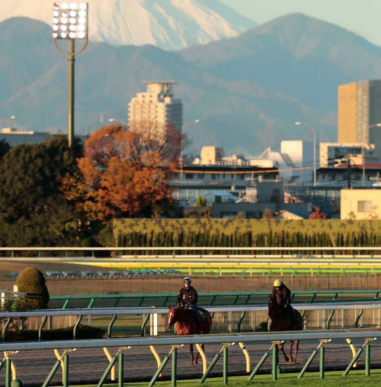 IT・メディア・マーケティング事業